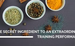 The secret ingredient to an extraordinary training performance