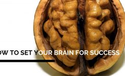 How to set your brain for success